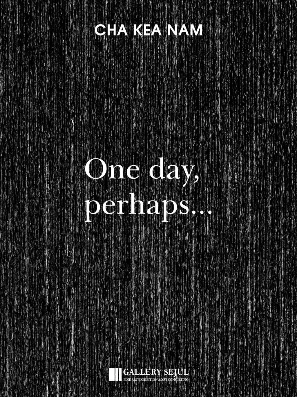 차계남 개인전 《One Day, Perhaps…》 포스터