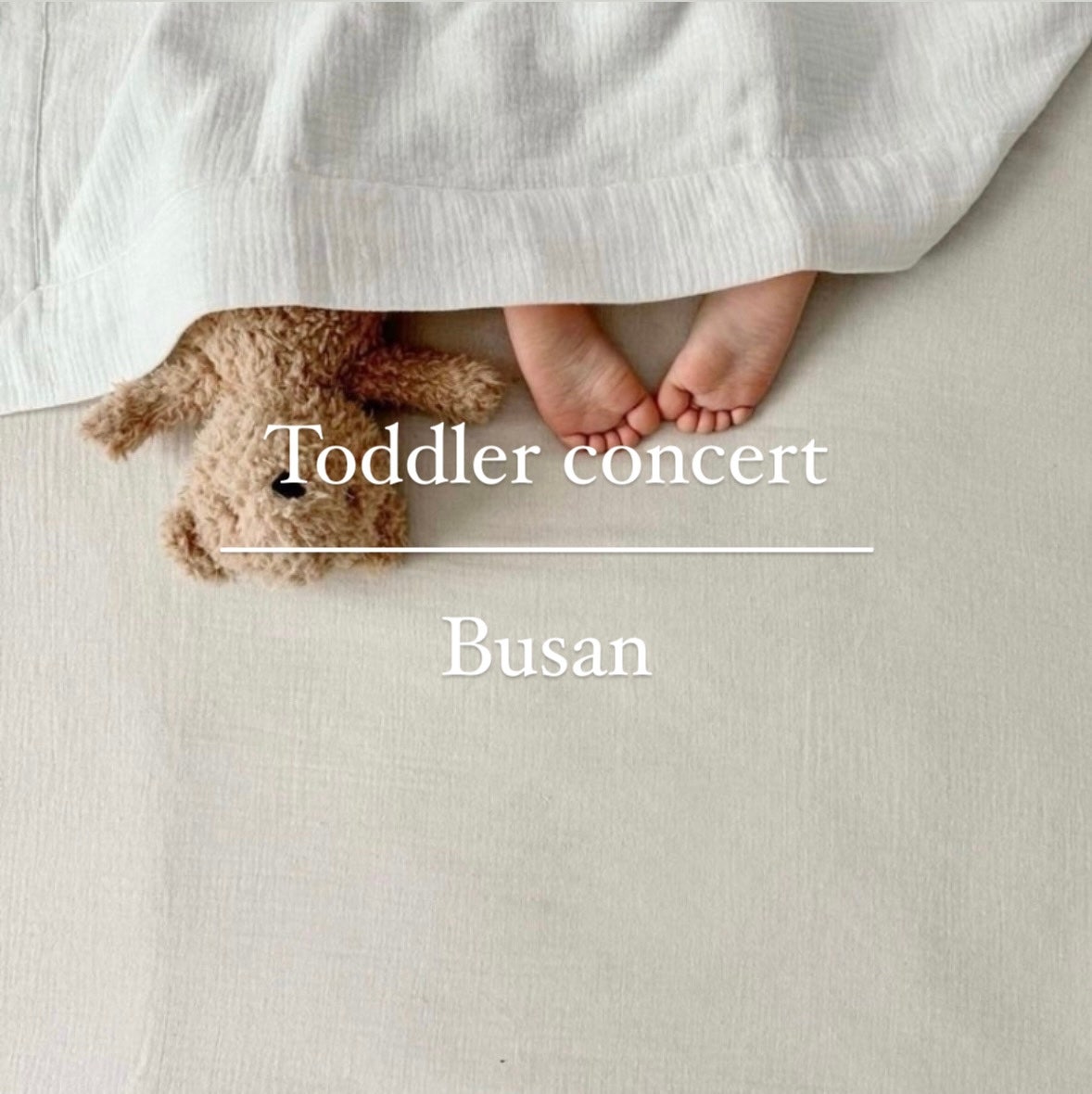 토들러 콘서트 [하우스오브베르] (11월)