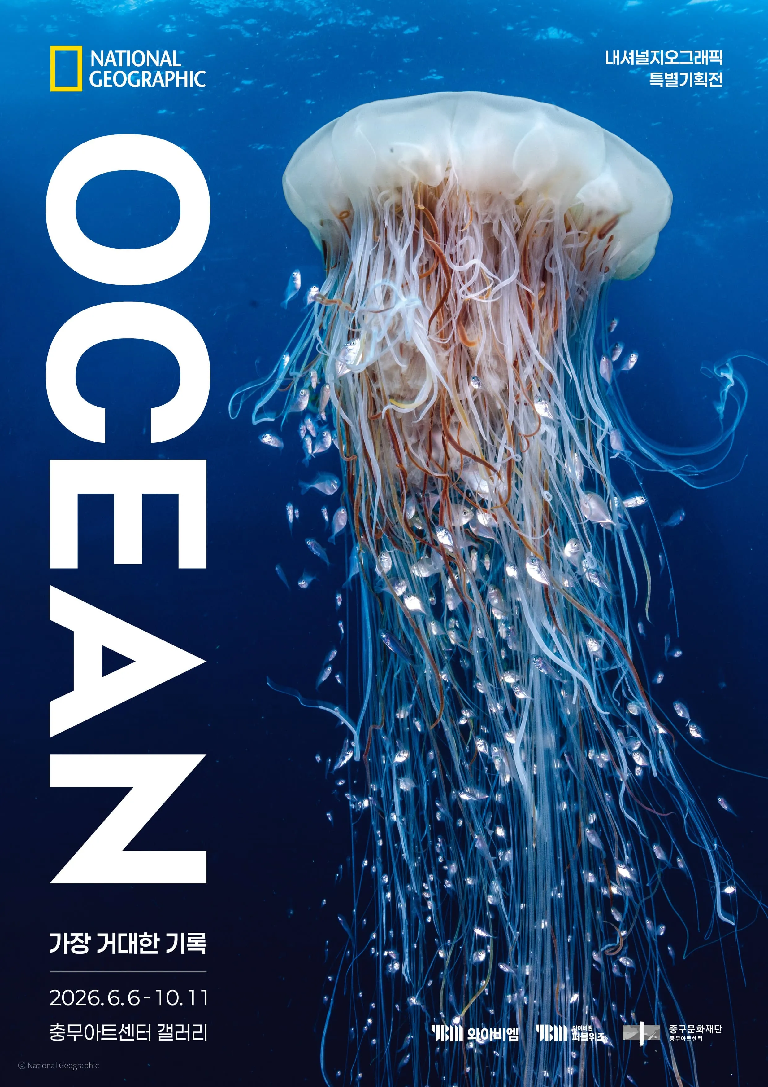 내셔널지오그래픽 특별기획 《OCEAN》 포스터